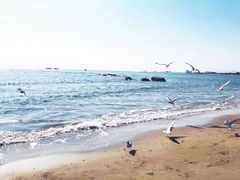 -老虎石海上公园