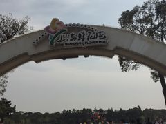 -上海鲜花港
