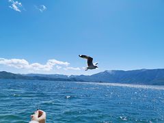 -泸沽湖里格半岛