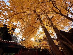 -承恩寺