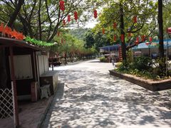 -李小龙乐园(顺德均安店)
