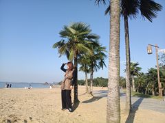 -瑶湖郊野森林公园