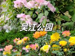 -昆山城市生态森林公园