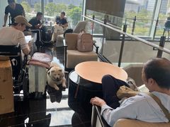-深圳国际会展中心希尔顿酒店(前海华发冰雪世界店)