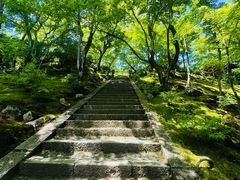 -常寂光寺