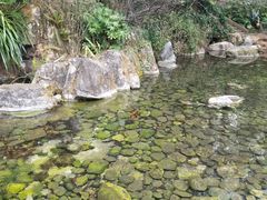 -蝴蝶泉公园