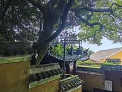 -普陀山风景区-佛顶山