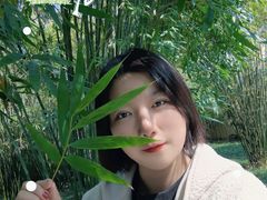 -西北湖绿化广场