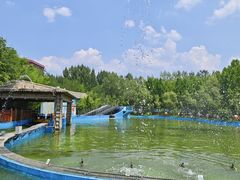 -郑州方特梦幻王国