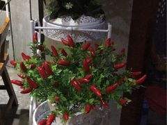 -赵记阿香婆麻辣涮(平顶山店)