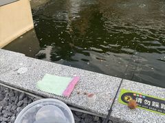 -DGE季风钓虾营地·团建·聚会