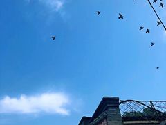 -北京国子监胡同