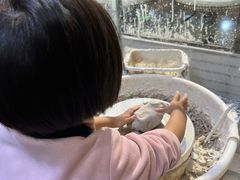 -初八专业级手工DIY陶艺社·户外研学·创意DIY首饰