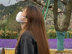 -溪口-滕头旅游景区