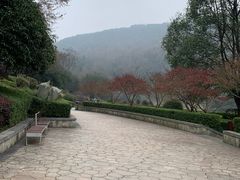 -桃花岭景区