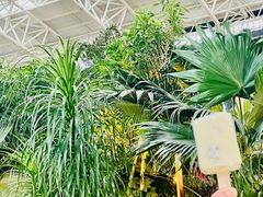 -郑州银基黄帝宫御温泉