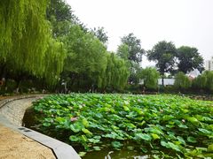 -中国农业博物馆