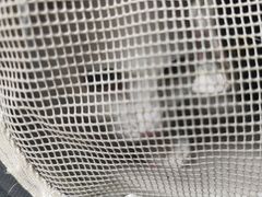 -瑞鹏瑞爱宠物医院·全科·猫科·血液透析中心(龙头寺店)