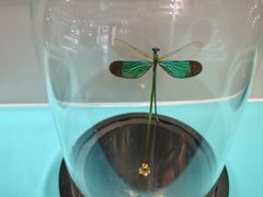 -惠州西湖风景名胜区-丰渚园