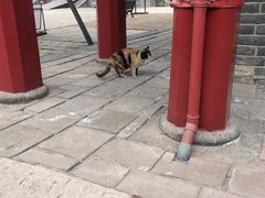 -沈阳市东陵公园