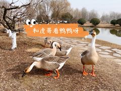 -西安浐灞国家湿地公园