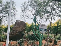 -密云玫瑰情园