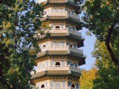 -灵谷景区