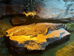 -泉城欧乐堡海洋极地世界