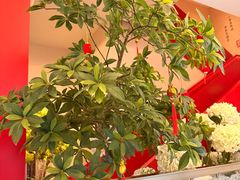 -红厨巷·淮扬菜(熙南里店)
