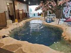 -中铁花水湾四季温泉谷