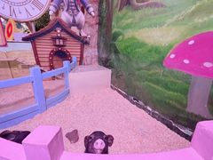 -正佳雨林生态植物园