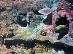 -秦皇岛新澳海底世界