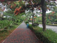 -厦门帝元维多利亚大酒店(环岛路黄厝海滩店)