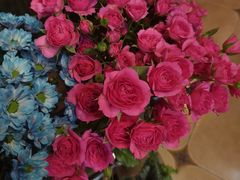 -ChaKo Flora ·茶子花艺 (市北店)