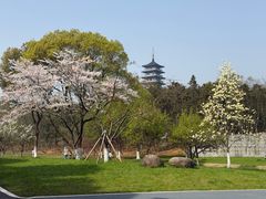 -宜兴龙背山森林公园