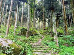 -大围山国家森林公园