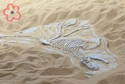 -恐龙探索乐园(磁器口店)