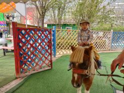 -萌宠亲子动物乐园(槐房万达店)