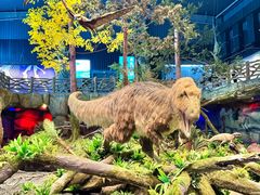 -南京银杏湖乐园