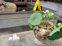 -单家老院·院子里的青岛菜(沙子口店)