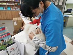 -奈斯宠物医院·核磁CT·异宠专科·内镜(中南店)