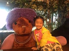 -济州岛泰迪熊博物馆