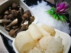 -探窝·竹笙椰子鸡(杨箕店)