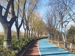 -大兴滨河森林公园