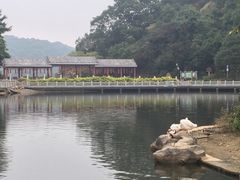 -广州市帽峰山景区