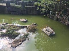 -南昌动物园