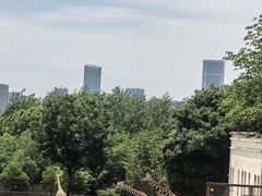 -合肥野生动物园