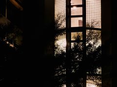 -香港大学