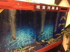 -肆月河豚·新淮扬(金融街店)