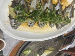 -丰尔粥食·粥底火锅·桑拿鸡(大良总店)